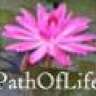 PathOfLife