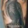 WeißerWolf