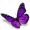 schmetterling79