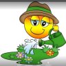 Maifried