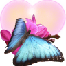Morphofalter