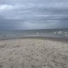 Manateea