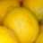 Lemontree