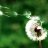 wishyou