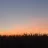 Krisse