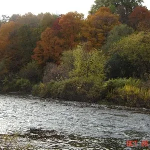 Erindale Park, Mississauga,Ontario