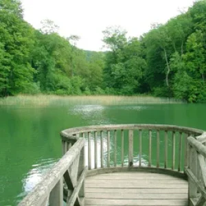 Balsam fr die Seele