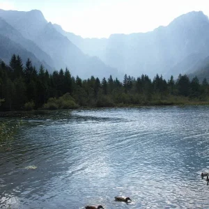 Am Almsee