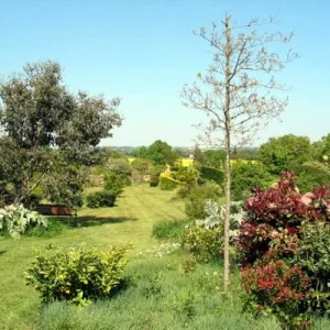 Garten meiner Tochter in Frankreich