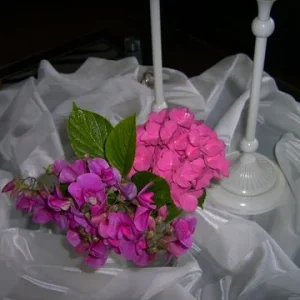 PICT2539.JPG