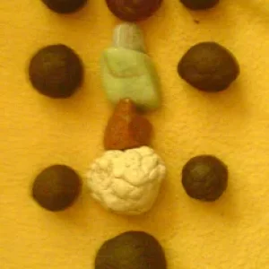 moquisbaum.jpg