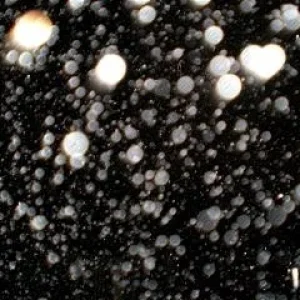 orb in herzform_19.8.2007 (1).JPG