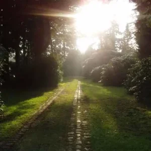 licht.JPG