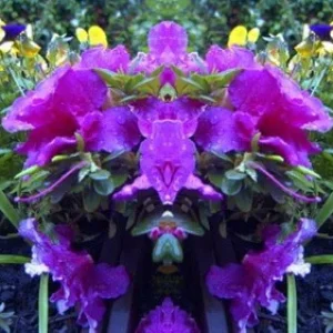 blumenspie.jpg