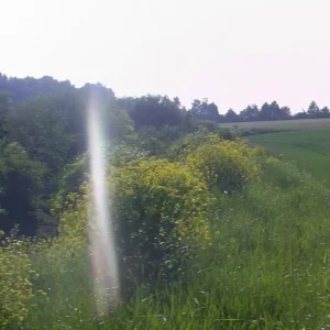 S5021315.jpg