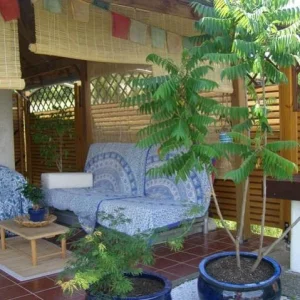 Terrasse 1.jpg
