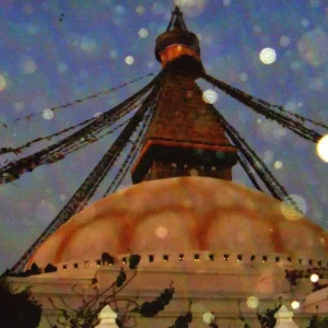 img014.jpg