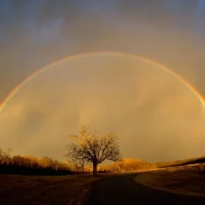 rainbow.jpg