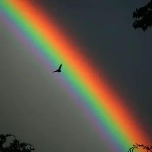 Rainbow_bird.jpg