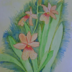 IMG00057.jpg