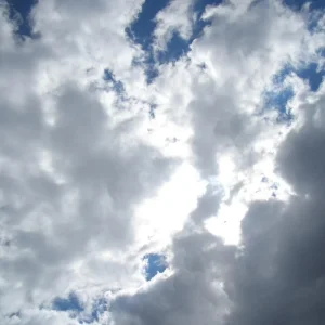 190.jpg