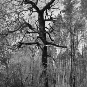 Foto0060 - Kopie.jpg