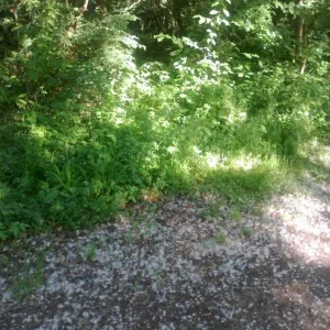 Bilder 21.05.11 177.jpg