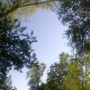 Bilder 21.05.11 186.jpg