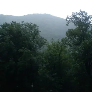 DSC00008.jpeg