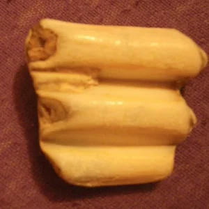 IMGP3383.jpg