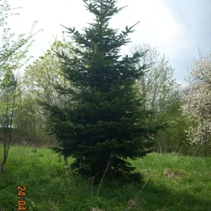 DSCN2358.jpg