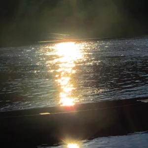 elbe mit boot.jpg