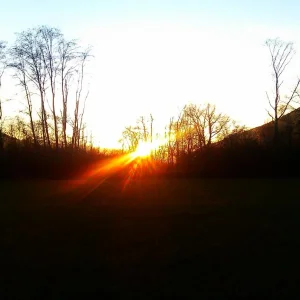 IMAG0190.jpg