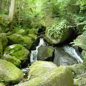 Ysperklamm2.jpg