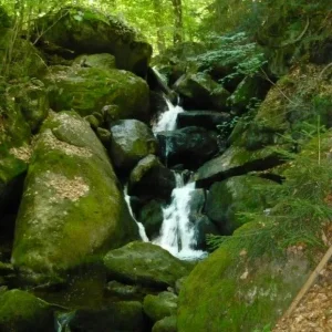 Ysperklamm3.jpg