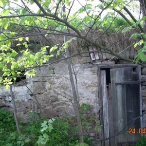 DSCN2355.jpg