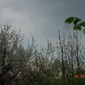 DSCN2364.jpg