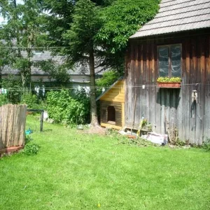 DSCN2742.jpg