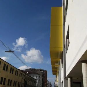 DSCF0307.jpg