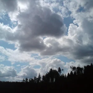 DSC00056.jpg