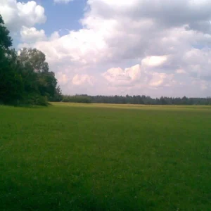 Bild006.jpg