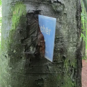 12. g.jpg