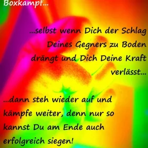 Boxkampf.jpg