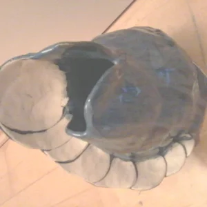 Foto0008.jpg