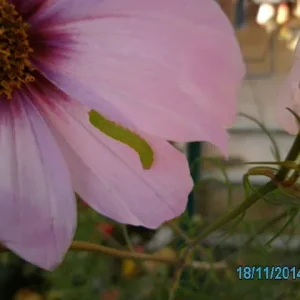 21.11 012.JPG