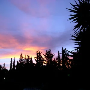 DSCI0027.JPG