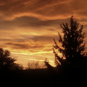 IMAG0803.jpg