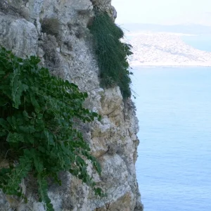 DSCI0019.JPG