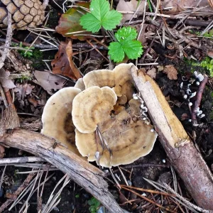 20140921_161707.jpg
