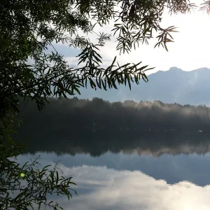 20140807_190619.jpg